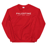 Palestine Pillars Sweatshirt-Sweater-Description Palestine can be described and held together in 3 words. Culture. Courage. Strength. These are the words Palestinians embody and is what keep the fabric of Palestine alive and lifted up. Let people know the power of Palestinians with this tee! Quality This sweater extremely comfortable, sturdy, and warm. It's pre-shrunk and has a classic fit that's made with air-jet spun yarn for a soft feel and reduced pilling. It's bound to keep you warm in the